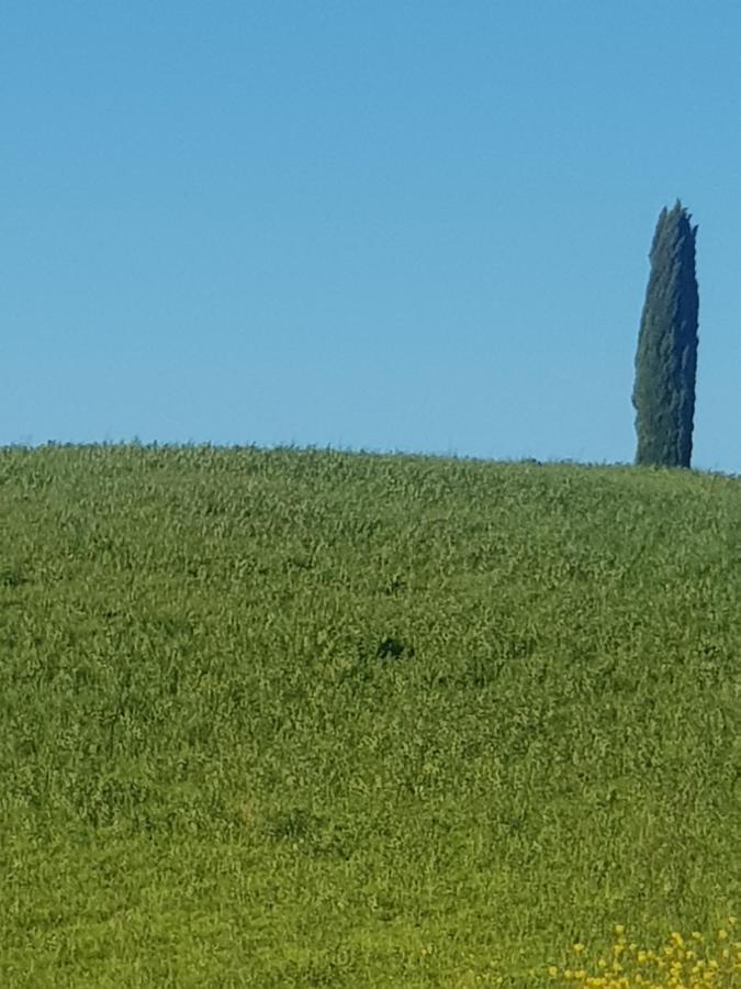 Dimora In Francigena San Quirico dʼOrcia Exterior foto