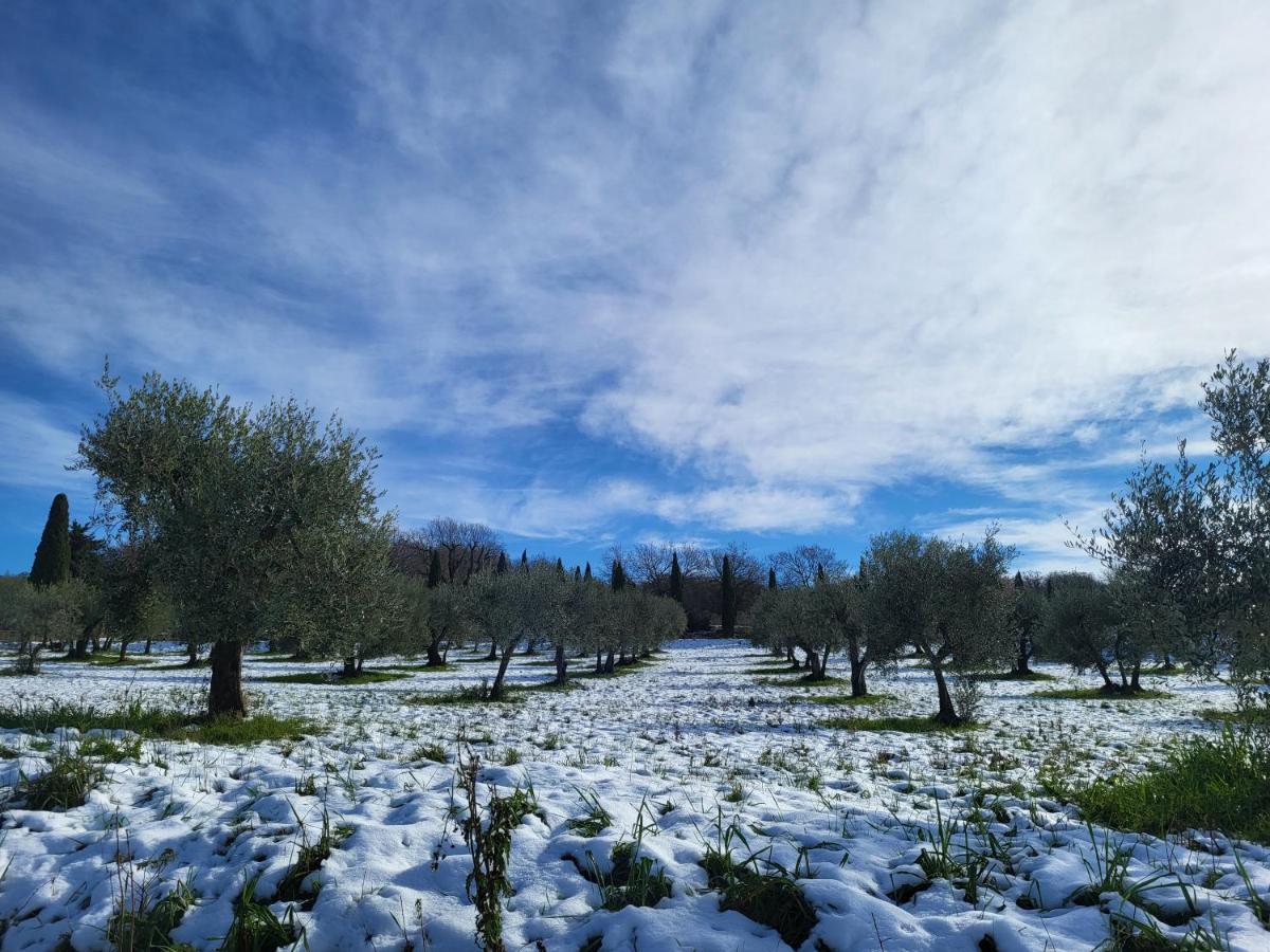 Dimora In Francigena San Quirico dʼOrcia Exterior foto